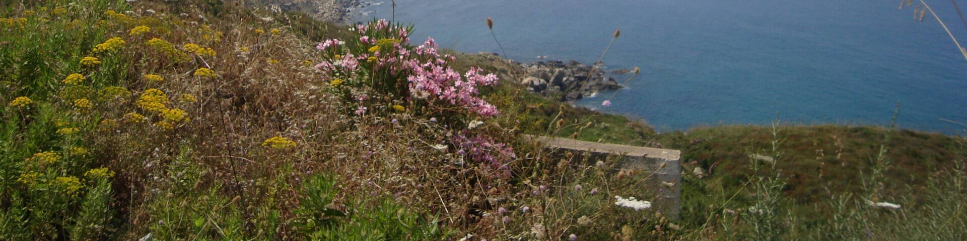 Cliff view, greenery, flora, fauna, natural spots, mediterranean sea.