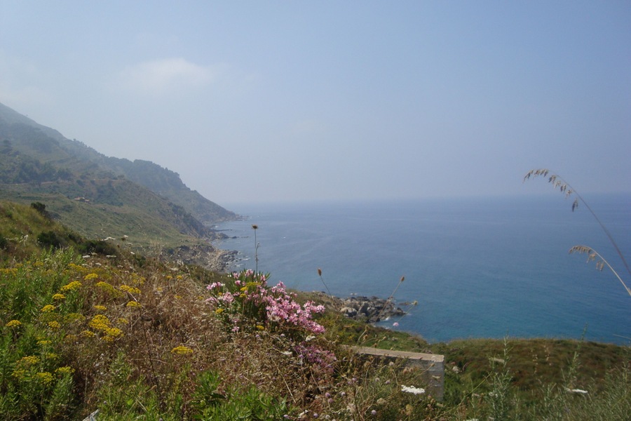 Cliff view, greenery, flora, fauna, natural spots, mediterranean sea.