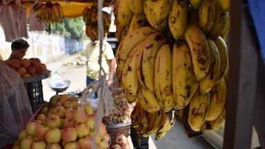 A fruit market with bananas, apples, and oranges on display.
