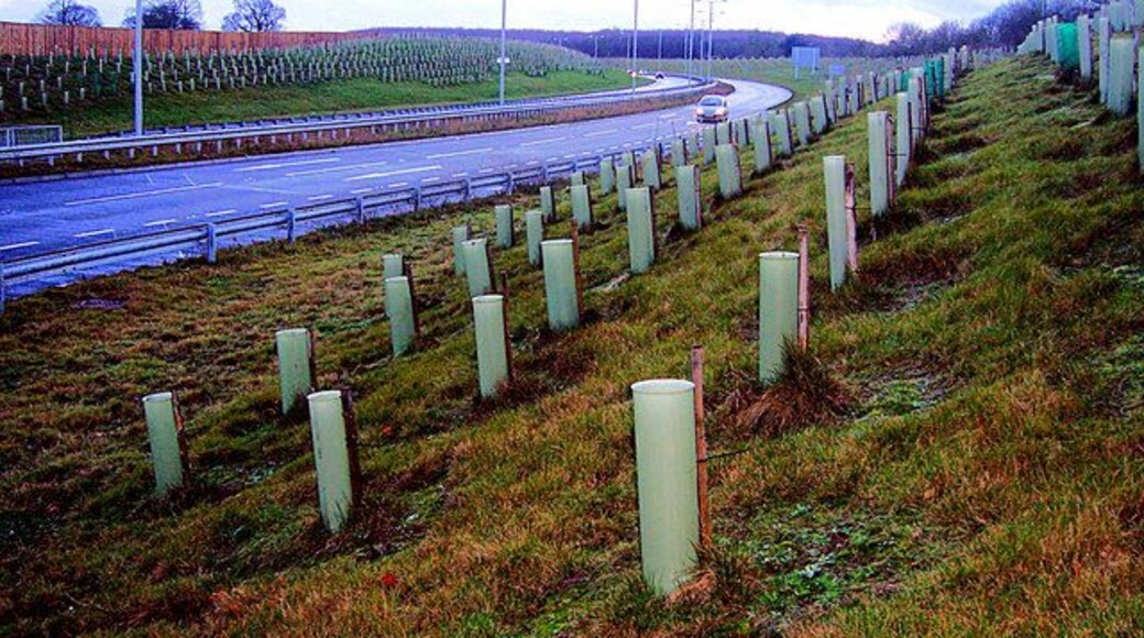 Leybourne and West Malling by-pass. Not yet shown on the OS maps, this road provides welcome access to the Kings Hill development from the M20 motorway, junction 5. Every green tube in the photo contains a sapling tree or bush. I'm glad I didn't have the job of planting them... Incidentally - I think this picture 32923 was taken from just about the same spot as my photograph.