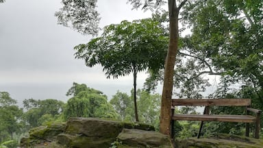 Sajek valley in rainy season.