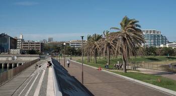 Kobe_Tarumiku_553248635974901140_003