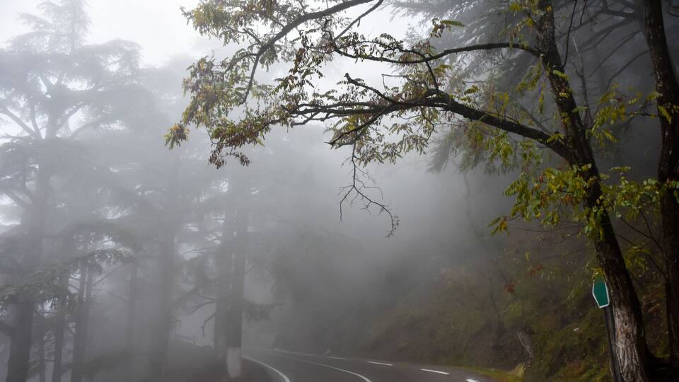 A winding road through a misty forest with trees and a road sign.