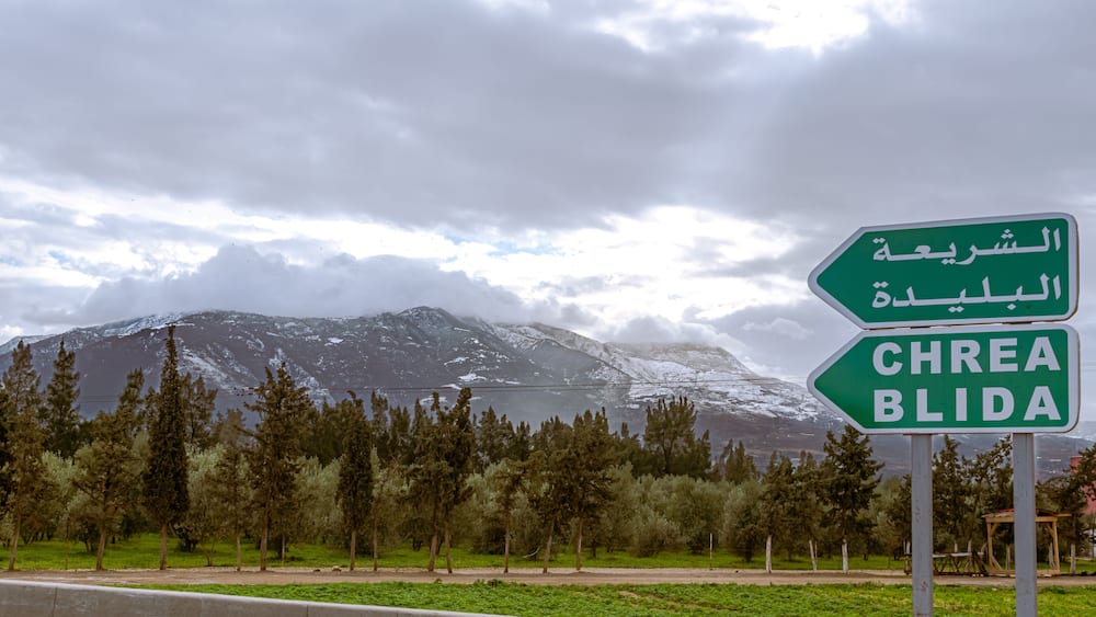 Chrea Blida green metallic directional road sign panel in foreground with arabic and french inscription, pin trees forest, white snow on the mountain and overcast sky with sunlight through the clouds.