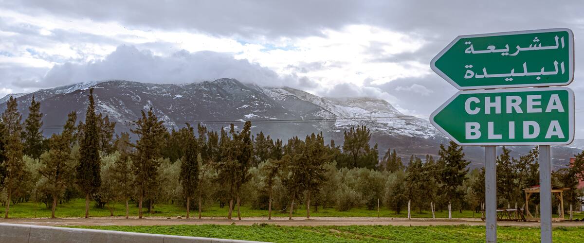 Chrea Blida green metallic directional road sign panel in foreground with arabic and french inscription, pin trees forest, white snow on the mountain and overcast sky with sunlight through the clouds.