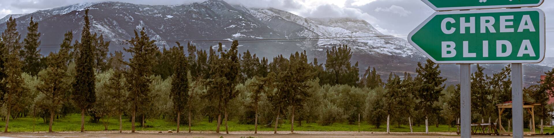 Chrea Blida green metallic directional road sign panel in foreground with arabic and french inscription, pin trees forest, white snow on the mountain and overcast sky with sunlight through the clouds.