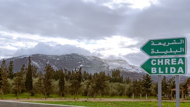 Chrea Blida green metallic directional road sign panel in foreground with arabic and french inscription, pin trees forest, white snow on the mountain and overcast sky with sunlight through the clouds.