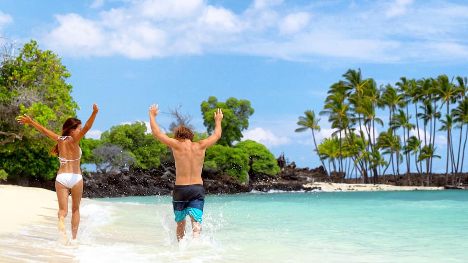 A beach with clear turquoise water, palm trees, and rocky outcrops.
