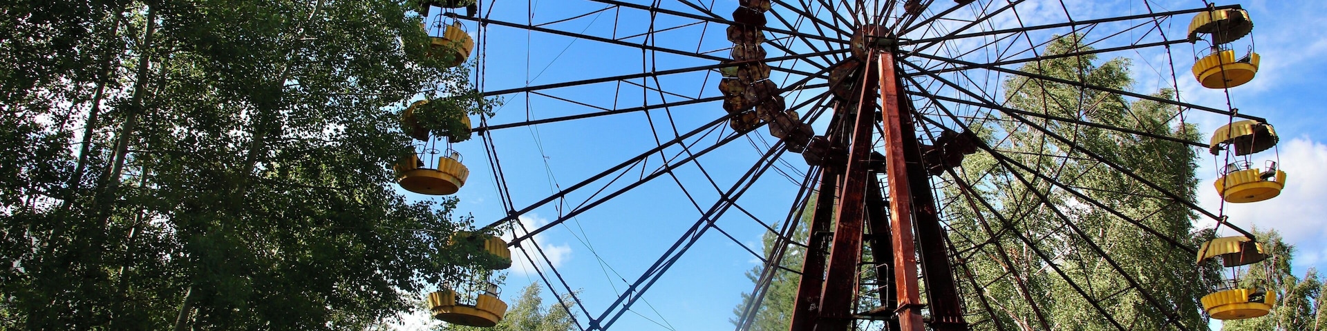 Ein großes Riesenrad, umgeben von üppigen, grünen Bäumen.