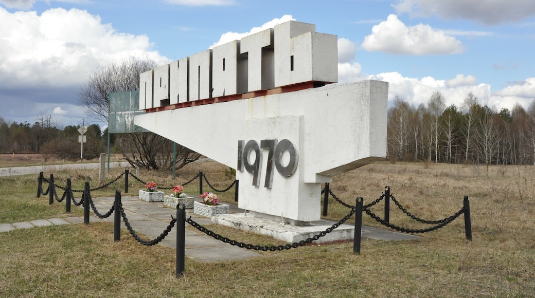 Vyshhorod District