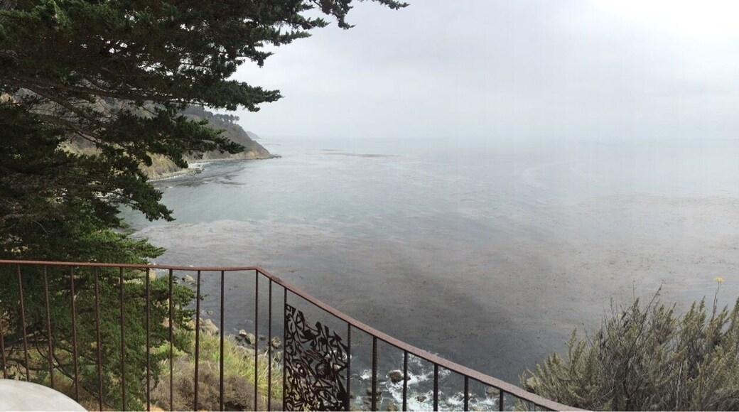 Fritz Pearl room overlooking the big sur coast. It's a bit of a splurge but well worth it.