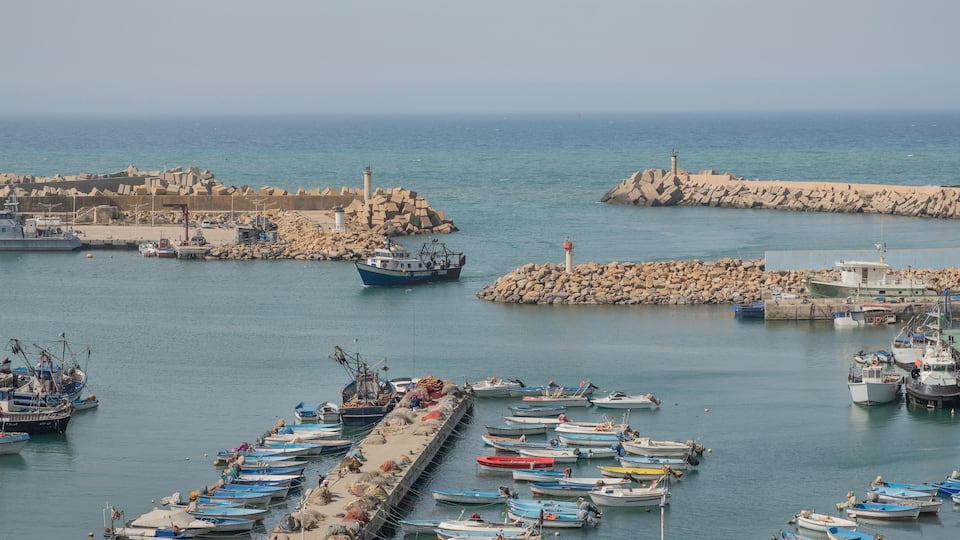 A harbor with numerous small boats docked, a lighthouse, and a rocky breakwater.