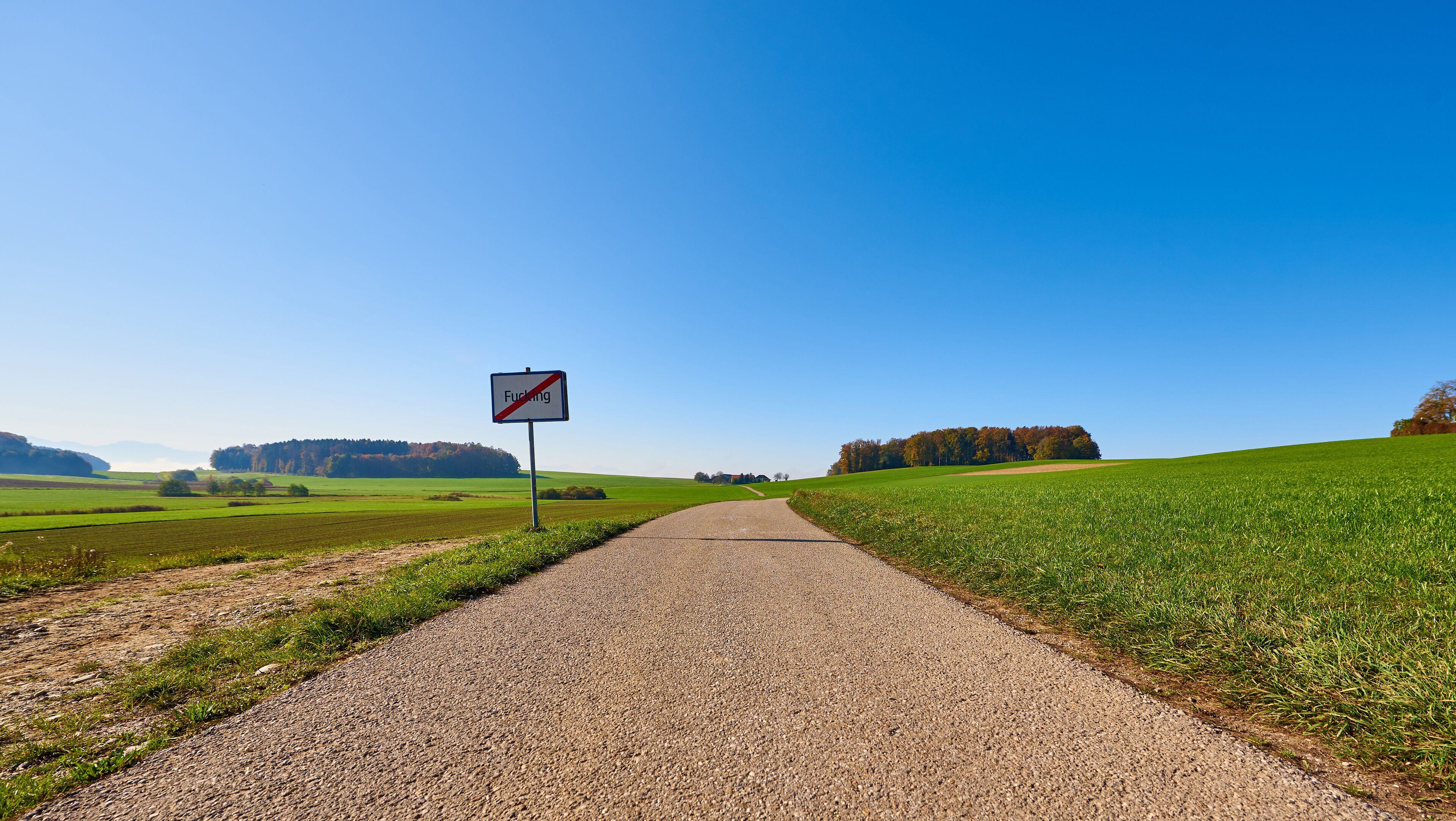 A rural road with a 'no parking' sign, green fields, and a clear blue sky.