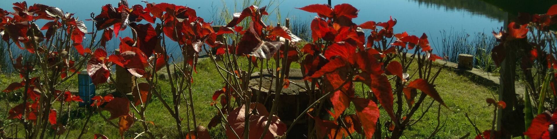 Madagascar Lake Ampefy