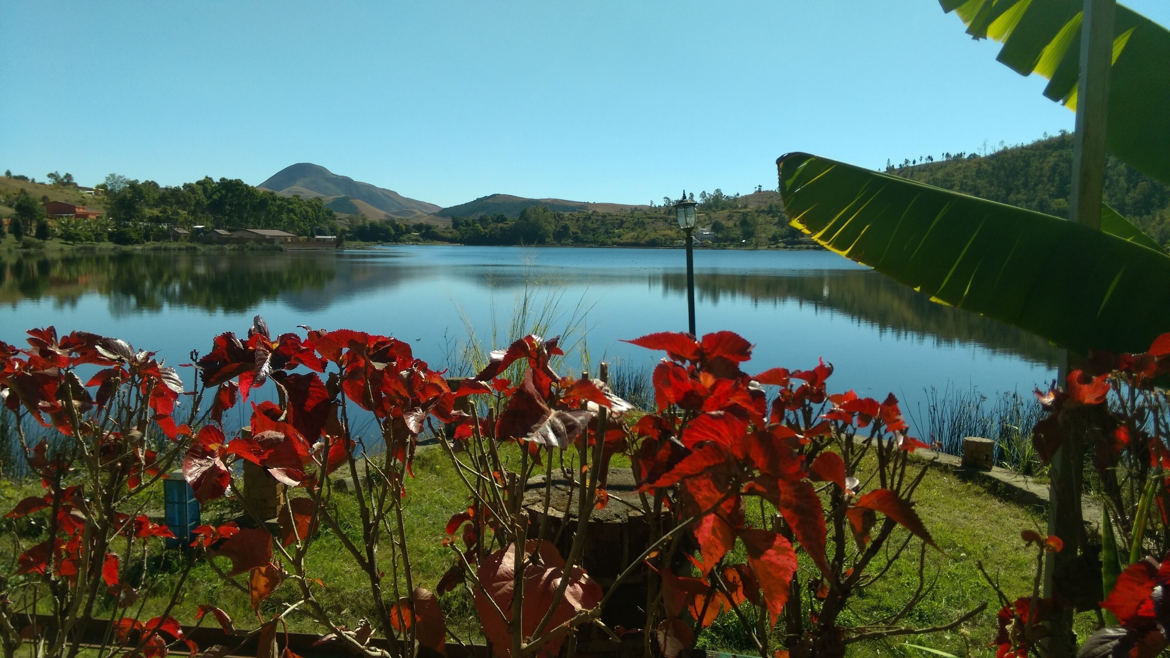 A lake with red foliage in the foreground and mountains in the background.