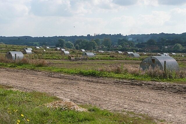 A rural landscape with multiple greenhouses and a dirt road.