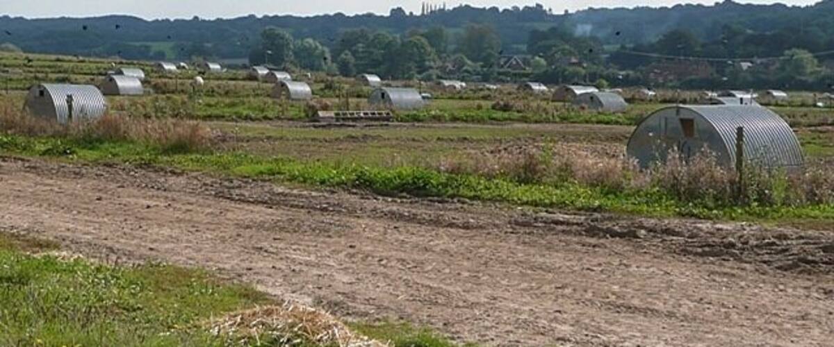 A rural landscape with multiple greenhouses and a dirt road.