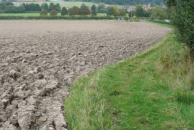 Descent to Bucklebury A field headland restricted byway descends to Bucklebury from the south. The field has been recently ploughed after harvest.