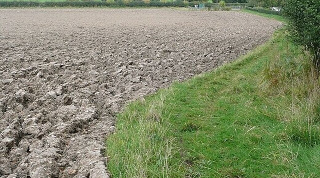 Descent to Bucklebury A field headland restricted byway descends to Bucklebury from the south. The field has been recently ploughed after harvest.
