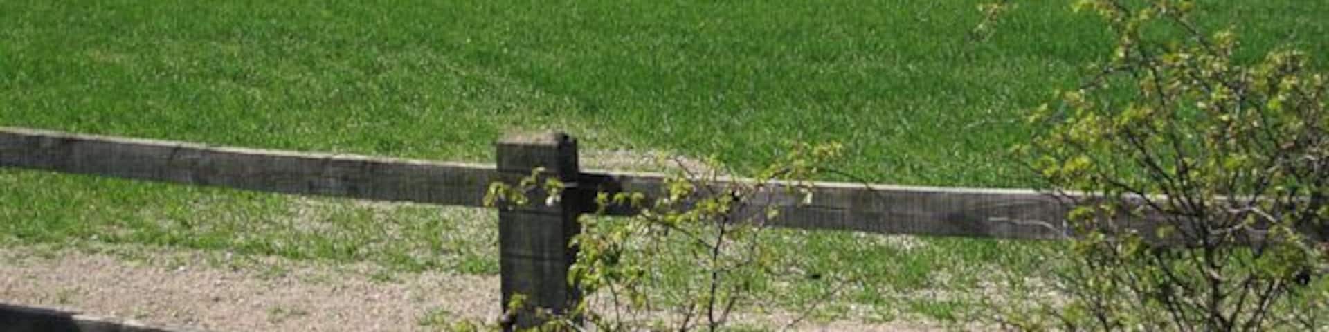 Track along the A11 Private farm track.