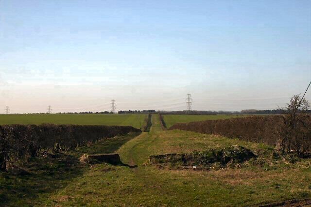 Byway to Wilbraham There are a number of byways in the area between the A14 and A11 roads, all restricted to motor vehicles. They are wide avenues, or 'rides', with well-trimmed hedges on either side. Note the stone blocks at the start of this ride, preventing vehicular access.