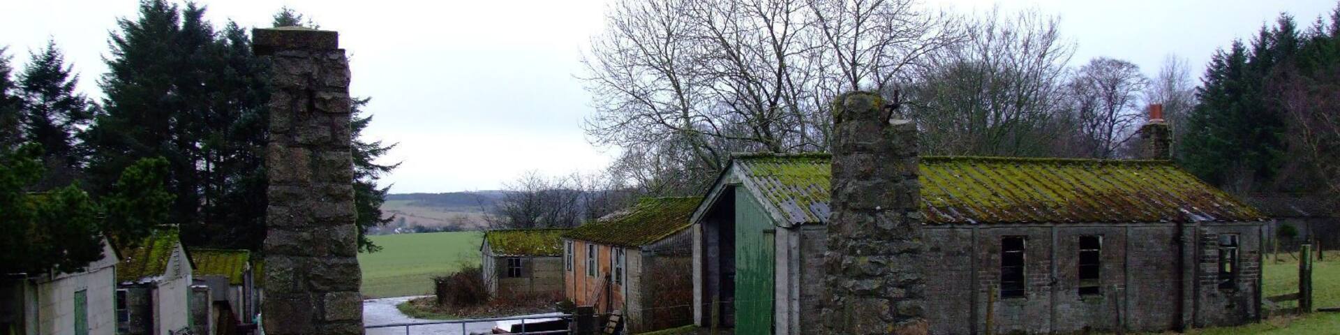 Gateposts and Huts at Stuartfield POW Camp The old gateposts at the old prisoner of war camp at Stuartfield in Aberdeenshire remain, as do some of the now derelict huts. Stuartfield initially housed Italian POW's, but later interred captured German soldiers, some from the 12th Panzer Division, after they were taken prisoner at Caen in France. Post war saw the camp being used to house displaced persons, from the likes of Bulgaria and Hungary.