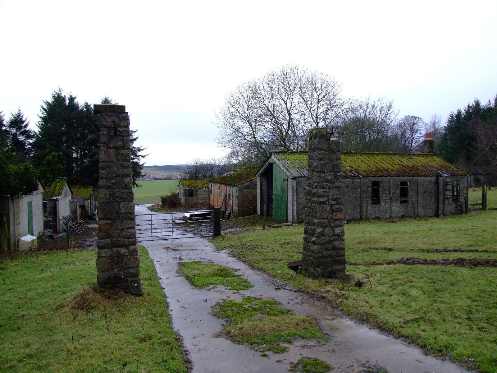 A rural landscape with stone pillars, a small building with a green door, and a path leading through the field.