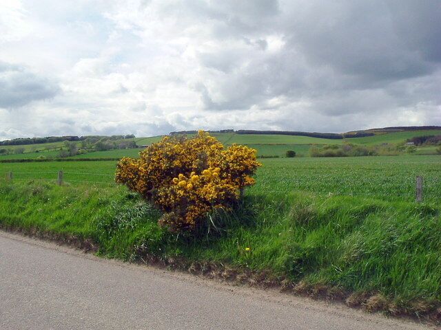 From the B9030 Looking NW