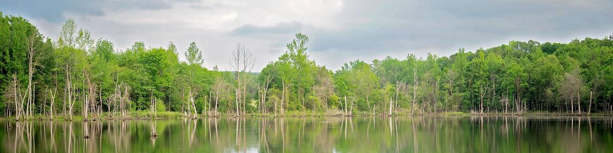 A calm lake reflects lush trees under a cloudy sky