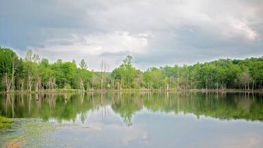 A calm lake reflects lush trees under a cloudy sky