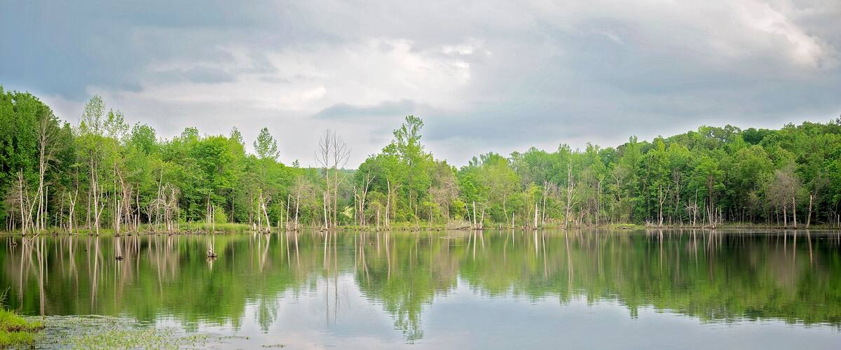 A calm lake with reflections of trees and a cloudy sky.
