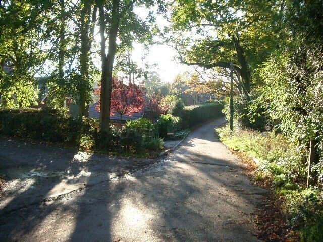 Wykehurst Lane, Ewhurst. looking west