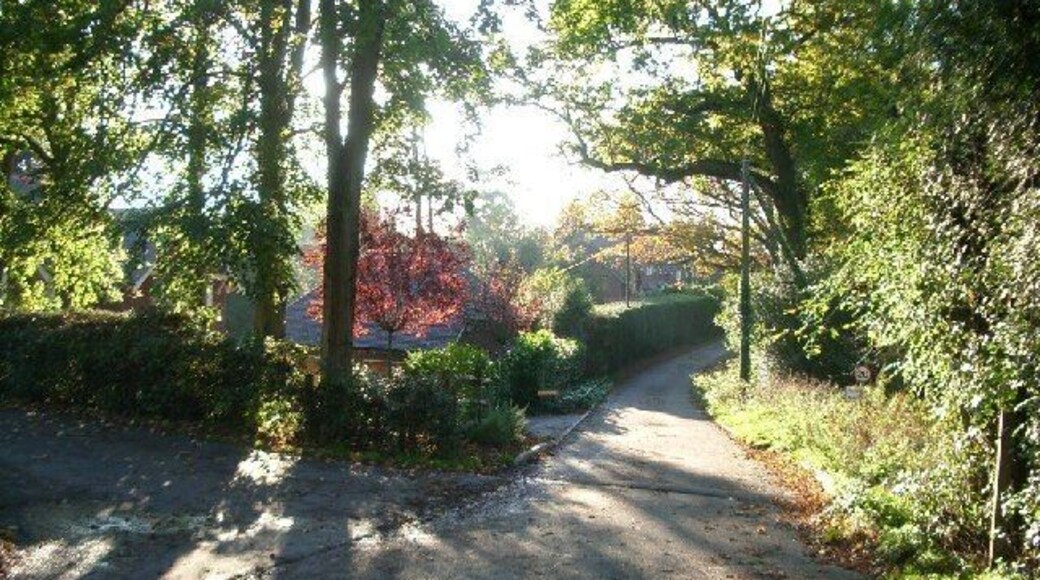 Wykehurst Lane, Ewhurst. looking west
