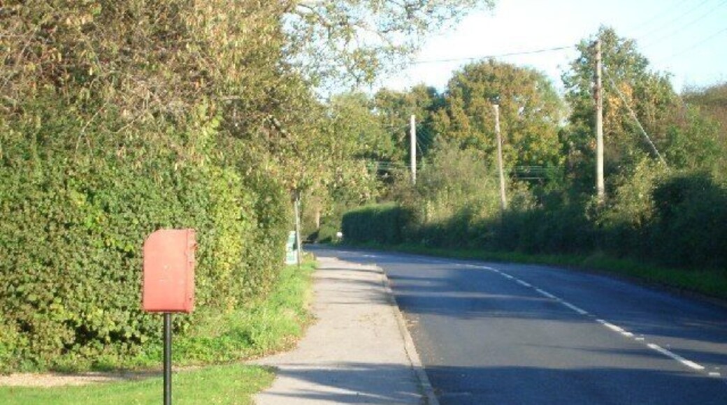 Cranleigh Road. looking east