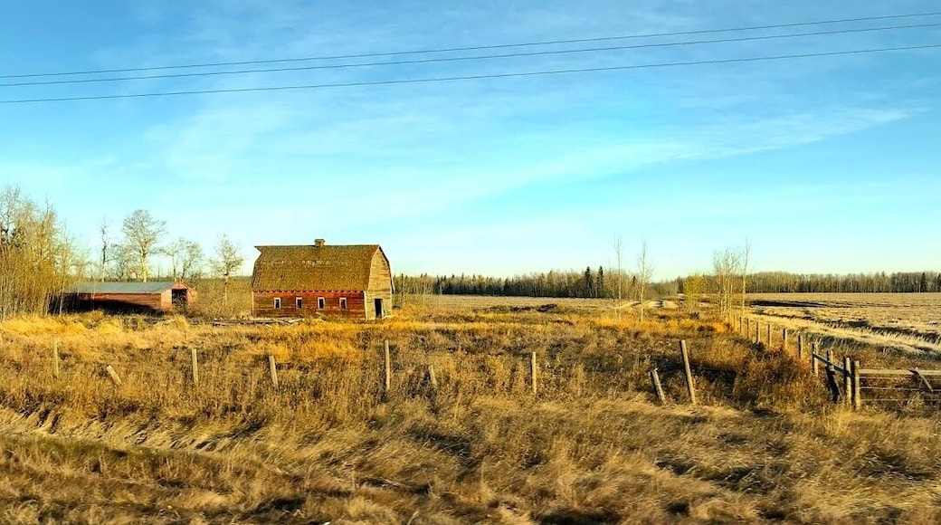Abandoned barns along Alberta Highway 39 near Warburg on a Fall day.
#Fall #barns #Nature