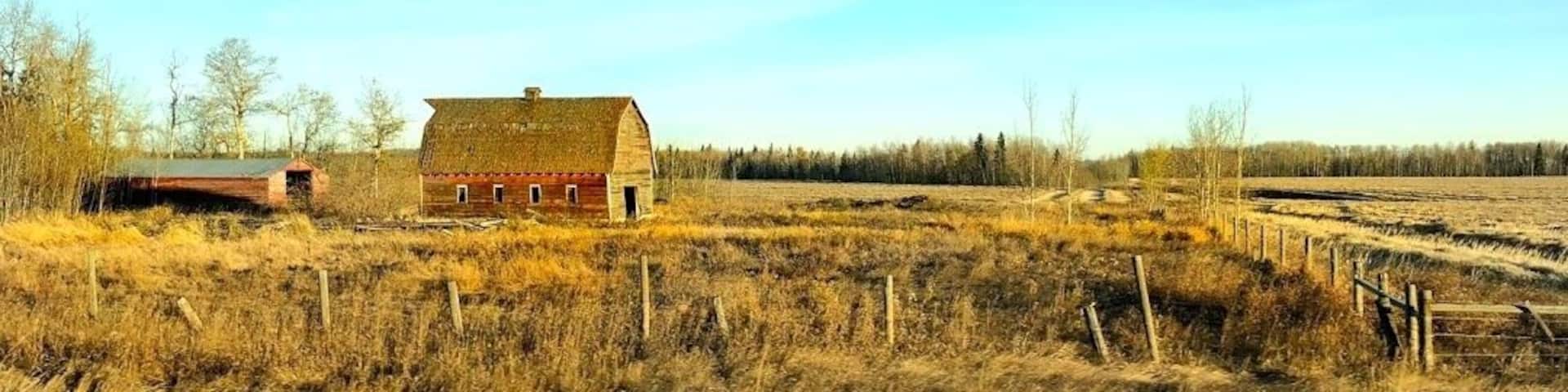 Abandoned barns along Alberta Highway 39 near Warburg on a Fall day.
#Fall #barns #Nature
