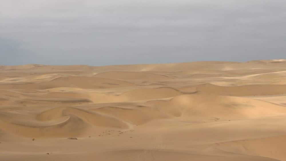 Stunning Desert Dunes between Swakopmund and Langstrand Namibia. Sand boarding, and quad biking in the dunes, followed by a very cold swim in the sea to rid you of all the unwanted sand.