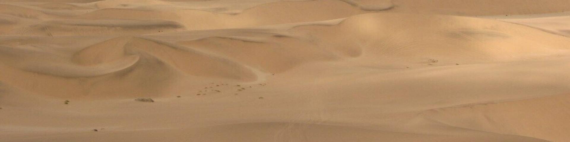 Stunning Desert Dunes between Swakopmund and Langstrand Namibia. Sand boarding, and quad biking in the dunes, followed by a very cold swim in the sea to rid you of all the unwanted sand.