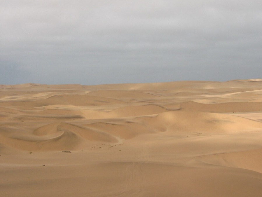 Stunning Desert Dunes between Swakopmund and Langstrand Namibia. Sand boarding, and quad biking in the dunes, followed by a very cold swim in the sea to rid you of all the unwanted sand.