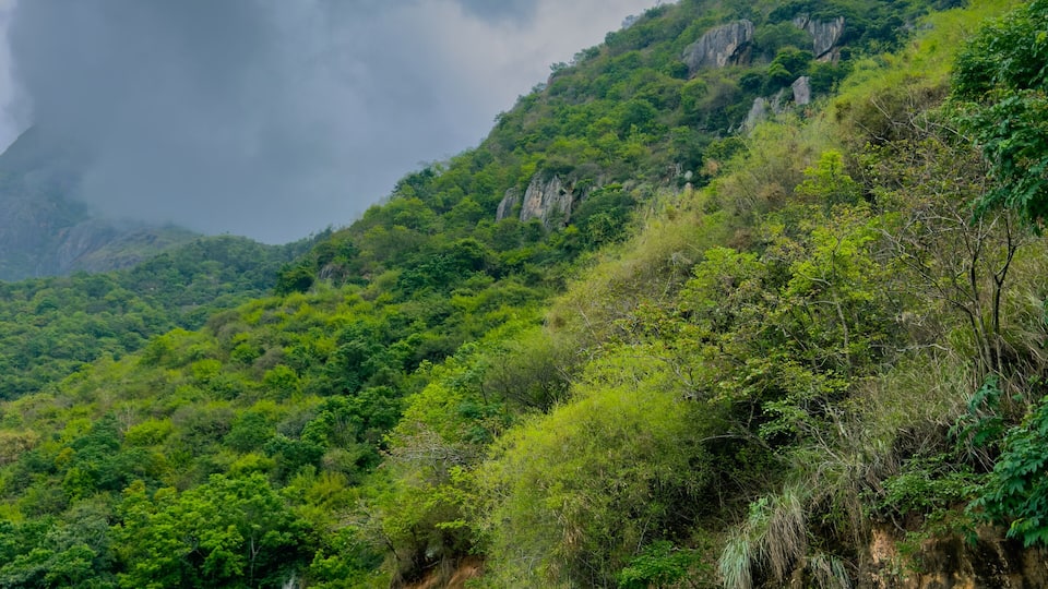 A winding mountain road surrounded by lush greenery and rocky cliffs.