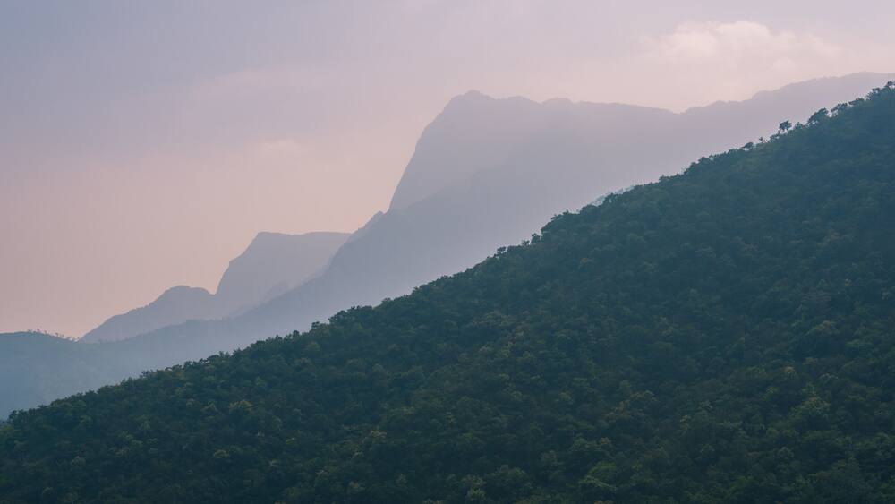 Cardamom Hills on the border Kerala and Tamil Nadu. A part of the southern Western Ghats / South India. On the road from Kochi and Munnar to Madurai.