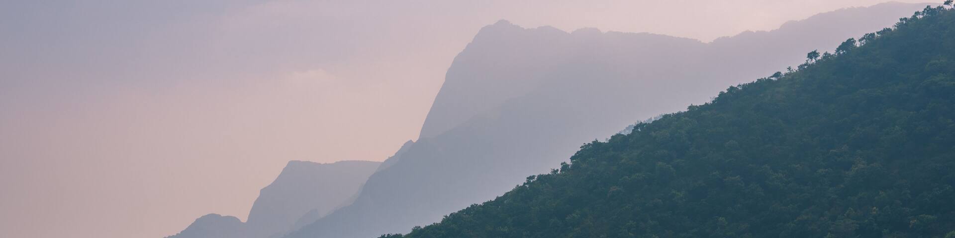 Cardamom Hills on the border Kerala and Tamil Nadu. A part of the southern Western Ghats / South India. On the road from Kochi and Munnar to Madurai.