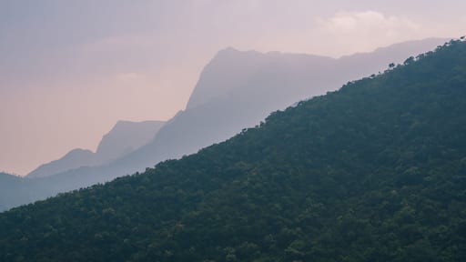 Cardamom Hills on the border Kerala and Tamil Nadu. A part of the southern Western Ghats / South India. On the road from Kochi and Munnar to Madurai.