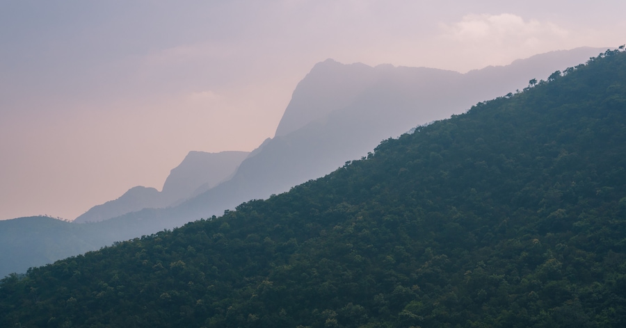 Cardamom Hills on the border Kerala and Tamil Nadu. A part of the southern Western Ghats / South India. On the road from Kochi and Munnar to Madurai.