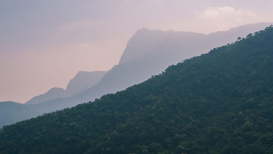 A mountain range with dense forest coverage.