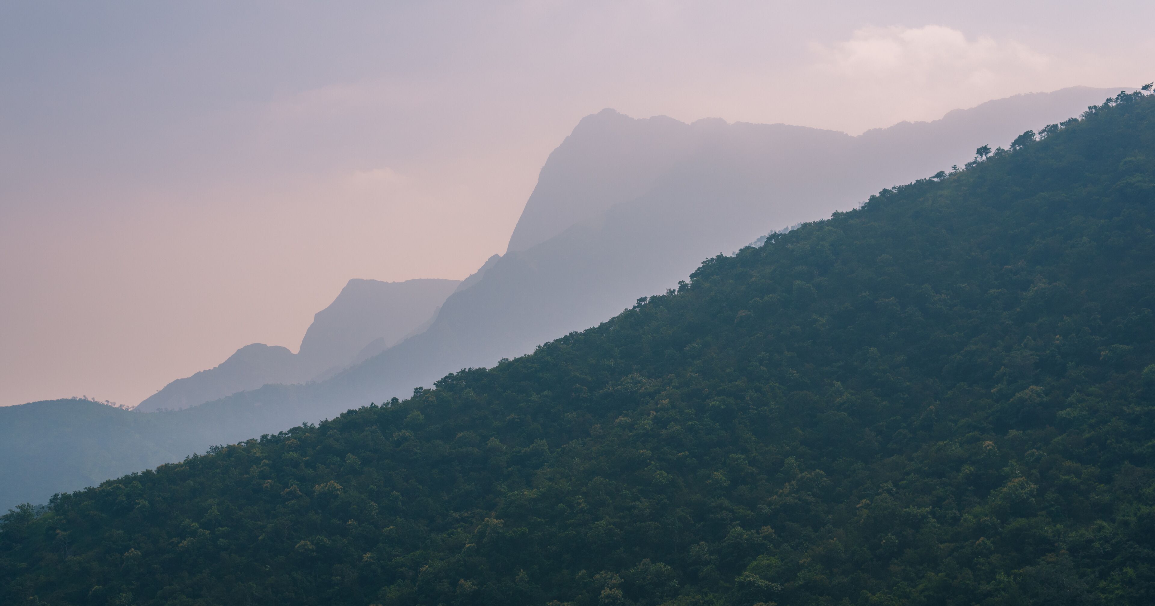 A mountain range with dense forest coverage.