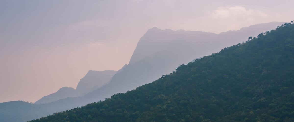A mountain range with dense forest coverage.