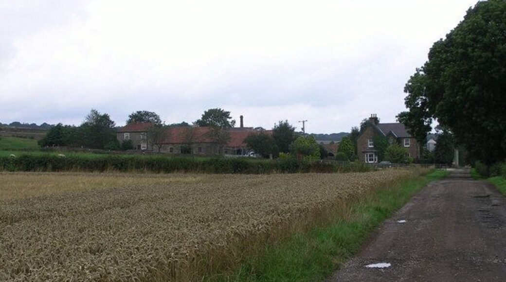 Waters Lane. Lane from Gilling West, past Crabtree House Farm, and on to Jagger Lane (old pack horse route)