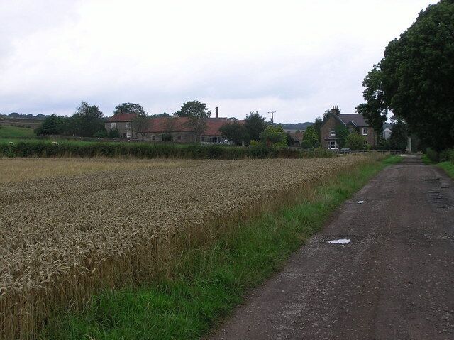 A rural road with fields of wheat, houses, and a cloudy sky.