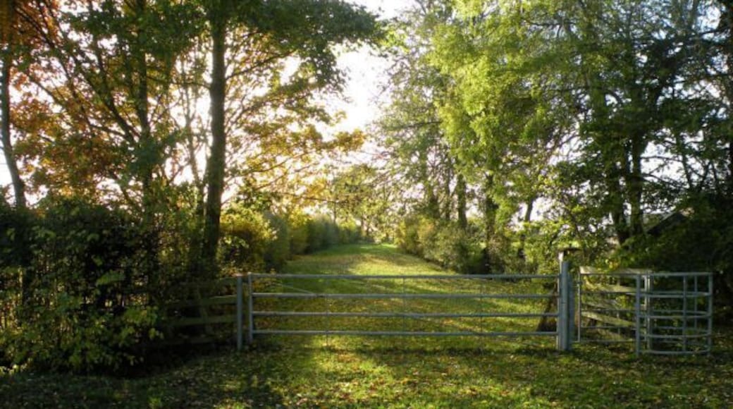 Footpath to Knapwell